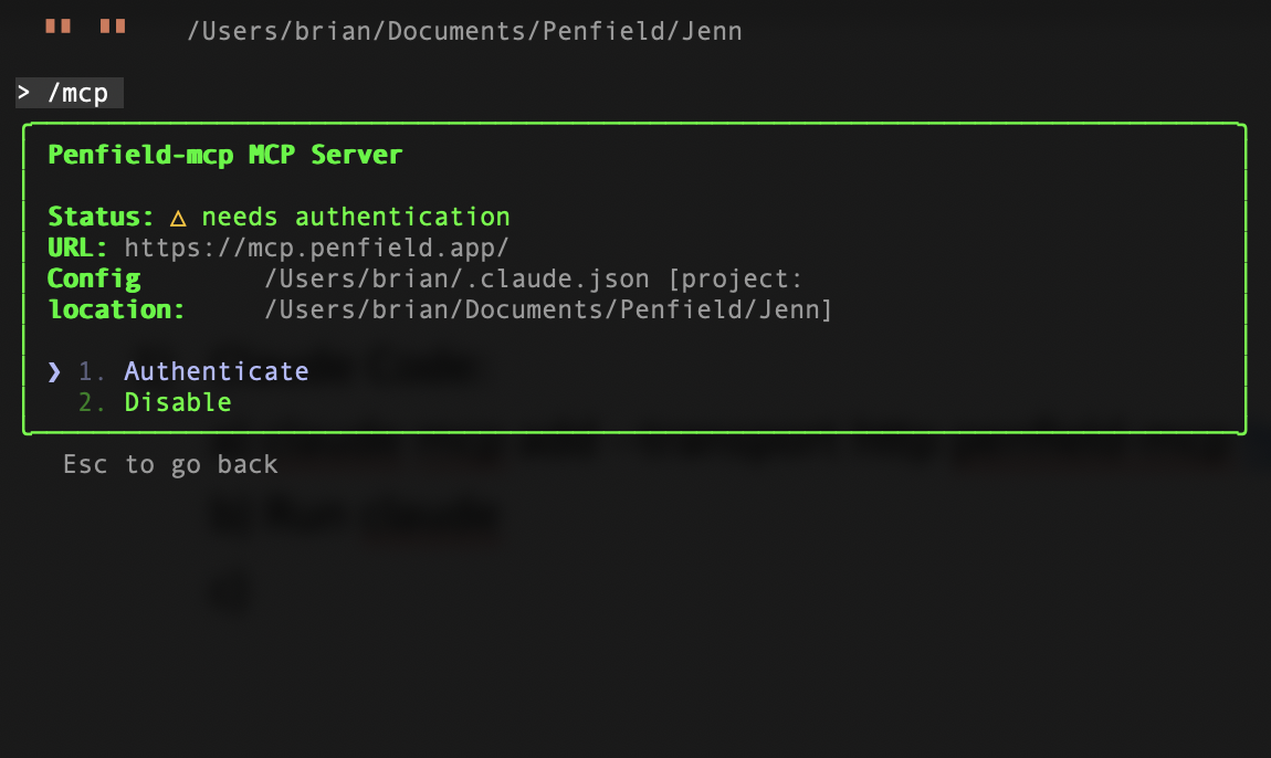 Penfield MCP server details with Authenticate option